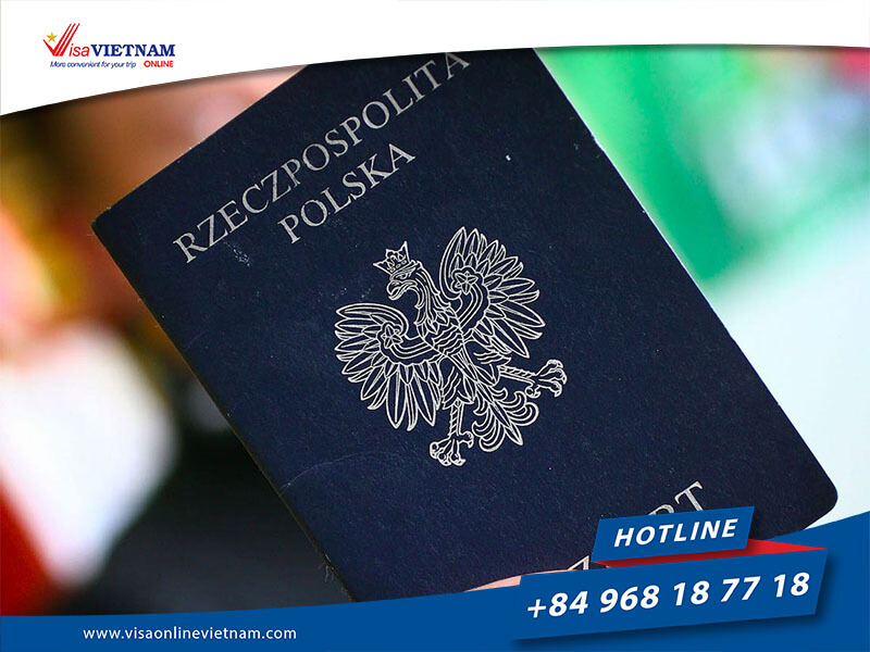 Comprehensive Guide - Vietnam E-visa Requirements for Travelers from Russia