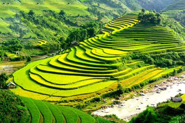 Sapa, Lao Cai Vietnam