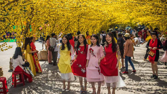 Vietnam Visa Extension During Tet Festival: Essential Guide for Travelers